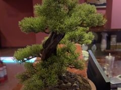 -泰融玺·泰式按摩SPA(包河万达店)