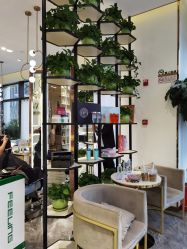 -MY WAY SALON