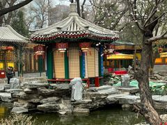 -白家大院·王府宫廷菜(苏州街店)