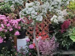 -双季花艺园艺市场(浦东店)
