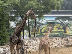 -北京野生动物园