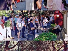 -南岳衡山风景名胜区-南岳大庙