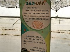 -前小桔亲子创意农场·草莓采摘·露营烧烤