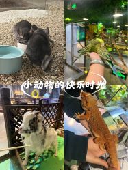 -酷嗒动物文化乐园(cutezoo西溪乐天城店)