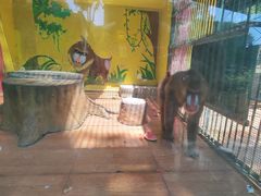 -荆州中山公园动物园