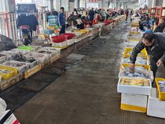 -中国舟山国际水产城