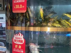 -蜀滋香鲜鱼美蛙火锅(339店)