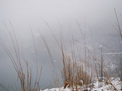 -四明山国家森林公园