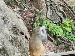 -黔灵山公园