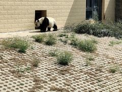 -石家庄市动物园