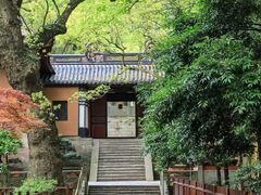 -普陀山风景名胜区-法雨禅寺