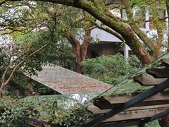 -中国茶叶博物馆(双峰馆区)