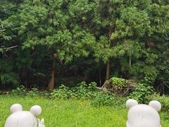 -东天目山风景区