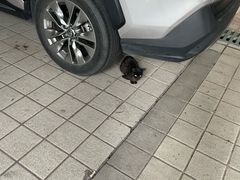 -广东工业大学(大学城校区)