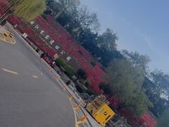 -西安曲江寒窑遗址公园