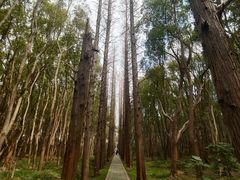 -同里国家湿地公园