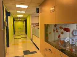 -杭州贝瑞斯美华妇儿医院·早孕·产检·儿科