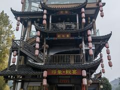 -印象鲵宴·张家界地标美食名片(溪布街店)