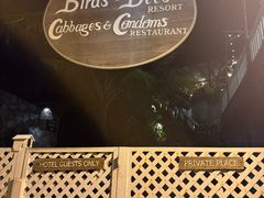 -卷心菜和避孕套餐厅(Pattaya)
