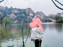 -嵖岈山风景区