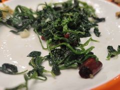 高原藜麦苗-三江源美食城
