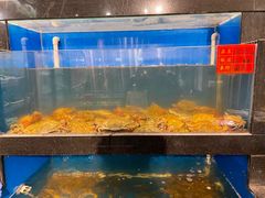 -华盛丰温州大排档(东三环南路店)