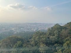 -紫金山山顶公园