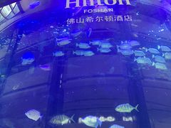 -OPEN開全日自助餐厅·牛肉火锅·海鲜(佛山希尔顿酒店)