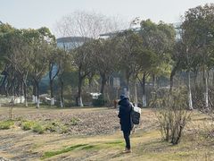 -上海滴水湖皇冠假日酒店