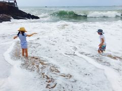 -枸杞岛