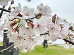 -南京城墙景区