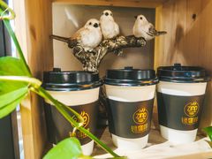 -ZING COFFEE 镜咖啡