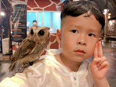 -清迈夜间动物园