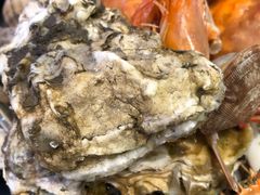 生蚝-乔哥铭洋海鲜自助(皇城恒隆广场店)