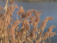 -两江国际影视城