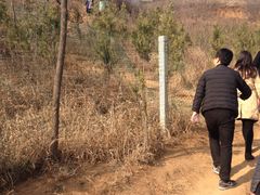 -白鹿原影视城