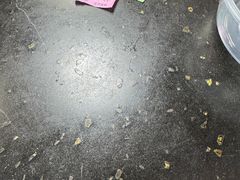-天天锅贴王(迎凤街店)