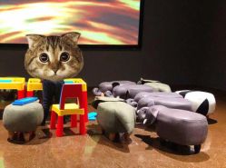 -奇幻丛林(佛罗伦萨小镇店)