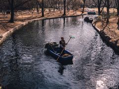 -上海共青森林公园