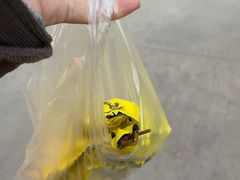 -李刚鸡西刀削面