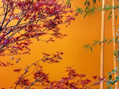 -上海青龙寺