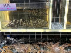 -宏运厨房·海鲜青岛菜·生日宴(城市阳台店)