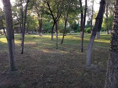 -辽宁大学(崇山校区)