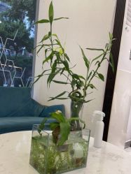 -菲·木田moontin造型salon