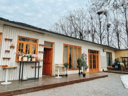 -DORA kids 朵拉儿童摄影花园店