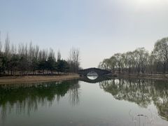 -大兴滨河森林公园