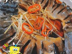 -煲来饱去冷水鱼