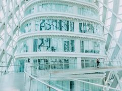 -凤凰中心