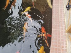 -侠成水上农庄(工业大道店)