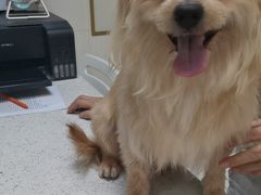 -瑞鹏·疫苗·绝育·宠物医院(广九店)